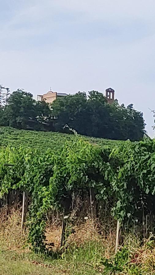 B&B I Tre Ulivi Morro dʼOro Exteriör bild