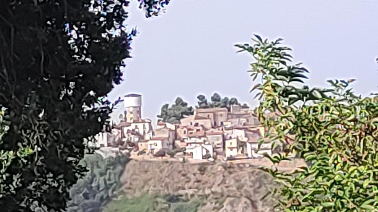 B&B I Tre Ulivi Morro dʼOro Exteriör bild