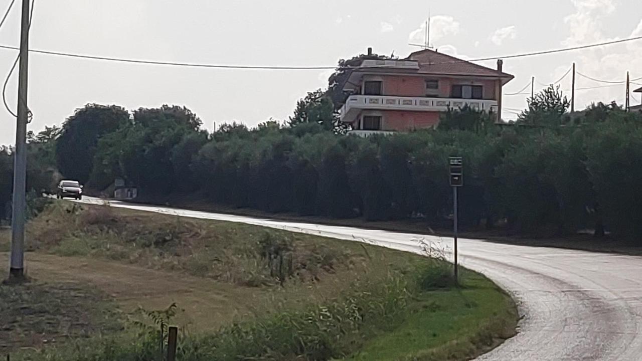 B&B I Tre Ulivi Morro dʼOro Exteriör bild